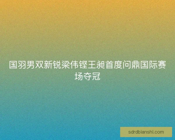 国羽男双新锐梁伟铿王昶首度问鼎国际赛场夺冠